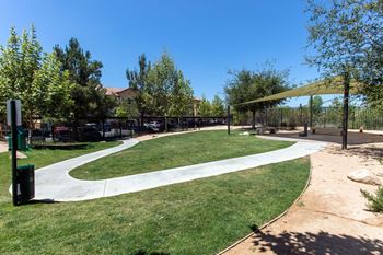 Pet park